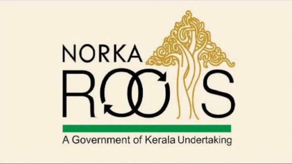 InShot_20241215_175701395