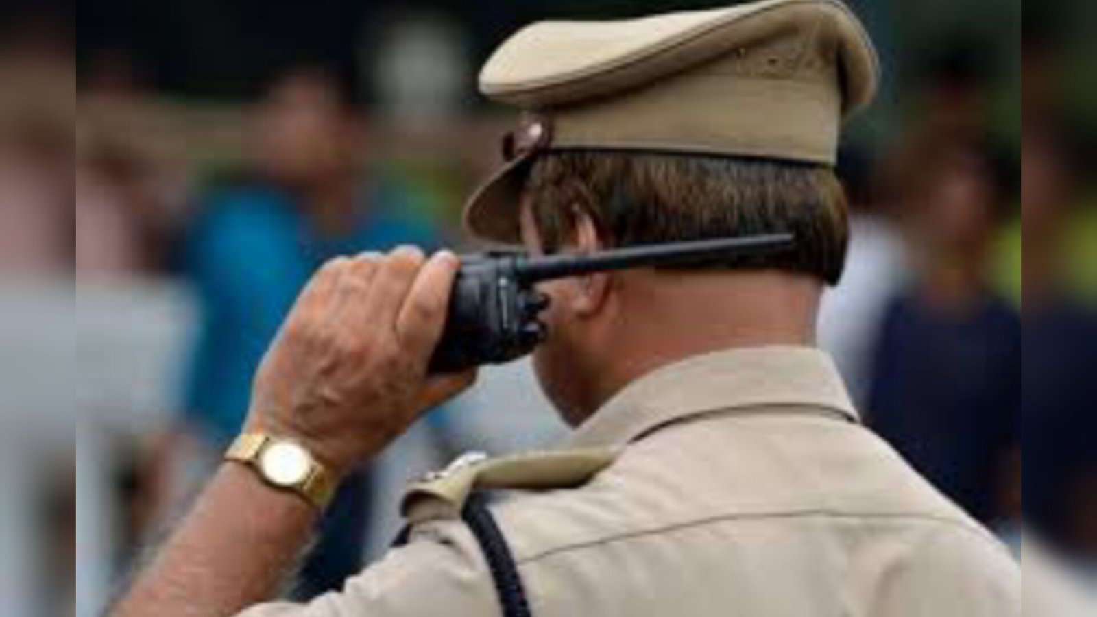 InShot_20241216_111039502