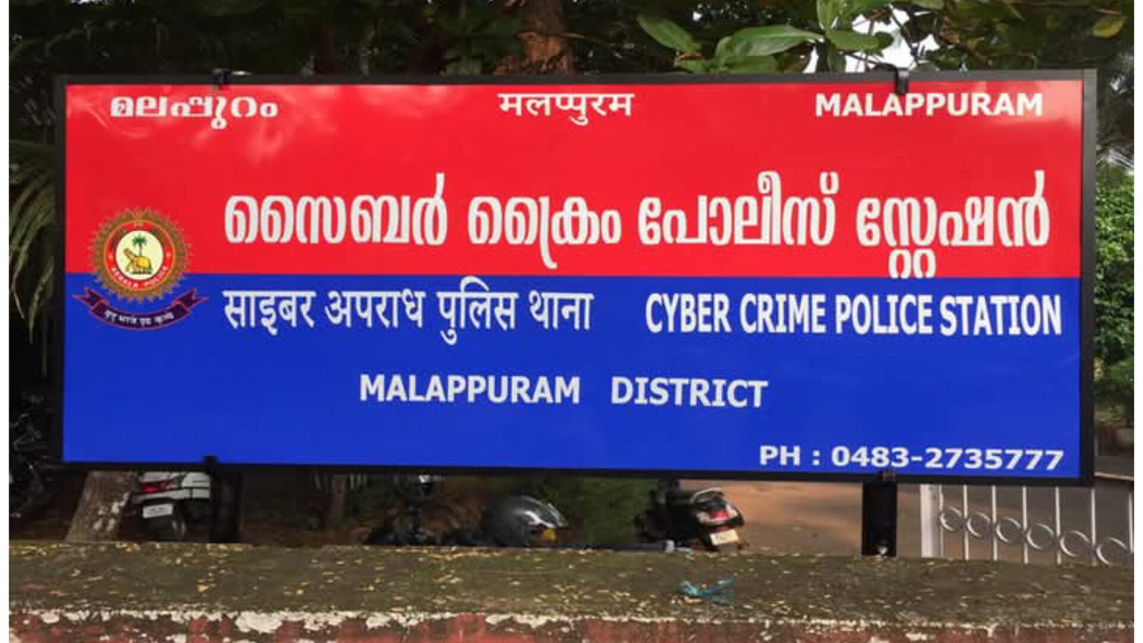 InShot_20241216_192802077