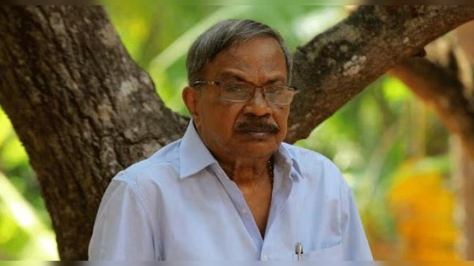 InShot_20241226_061005738