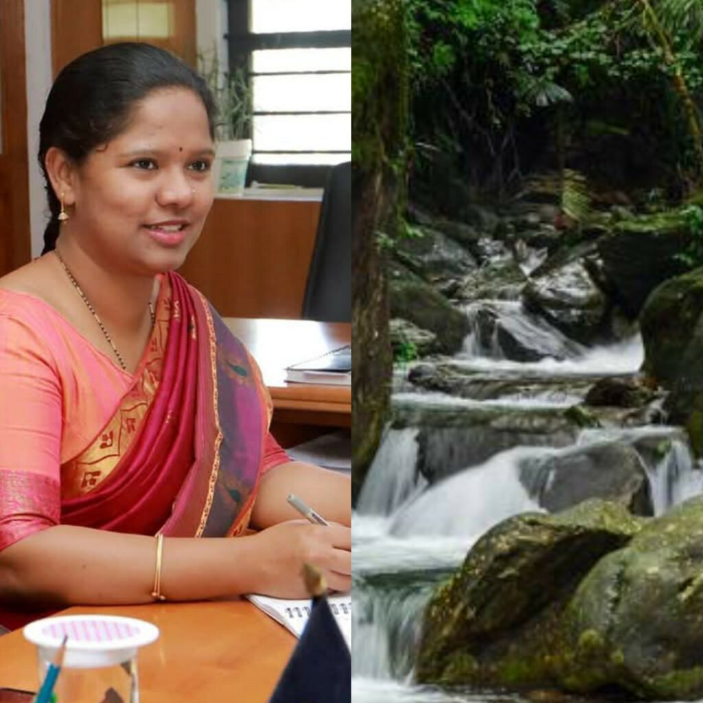 InShot_20250101_191413366