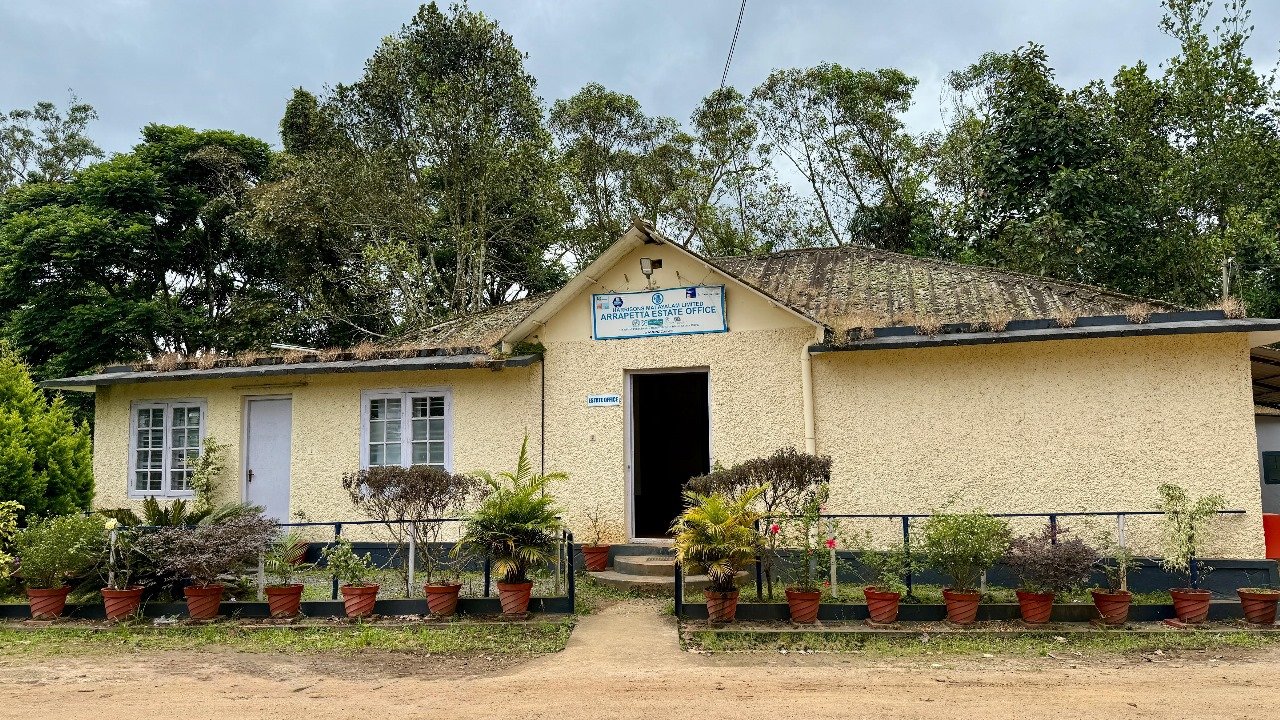 നോര്‍ത്ത് അമേരിക്കന്‍ ടീ കോമ്പറ്റീഷനില്‍ ഹാരിസണ്‍സ് മലയാളം ലിമിറ്റഡിന് സ്വര്‍ണ മെഡല്‍, kozhikode news, calicut news, kozhikode plantation news, calicut plantation news